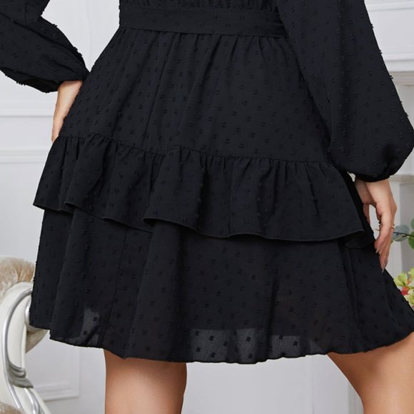 Melo Apparel Plus Size Swiss Dot Tie Waist V-Neck Dress - Picture 10 of 10